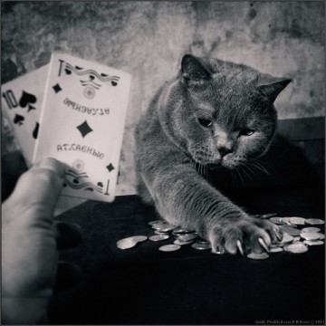 Маленькая девочка и кот