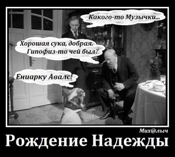 Сестра Шарикова, или переписка Климкина с Туском