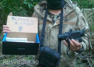 Отличные стартапы