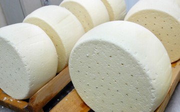 Армянские сыры заменят россиянам Моцареллу