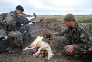 Лауреаты премии Дарвина: Два киборга подорвались, разложив костер среди снарядов