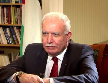 Эксклюзивное интервью. Рияд аль-Малики. 13.06.2016