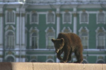 Подслушано за границей: что думают иностранцы о России