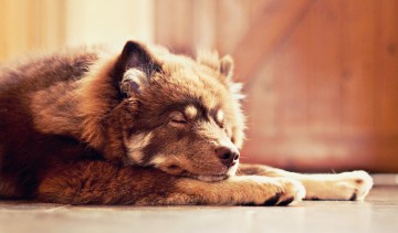 5 поучительных историй с хорошим настроением