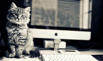 5 поучительных историй с хорошим настроением
