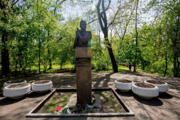 Жил в Ростове Витя Черевичкин...