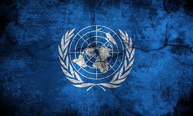 В Украину возвращается делегация ООН, поругавшаяся с СБУ