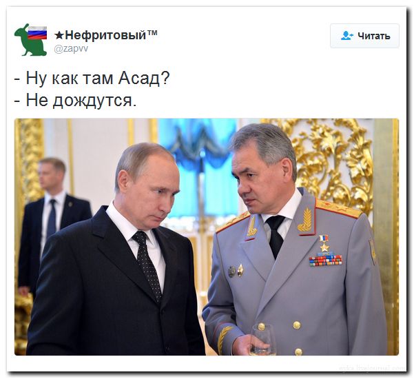 "Мыздобулы" в картинках. Смешных и не очень... 02-07-2016 "Мыздобулы" в картинках. Смешных и не очень... 02-07-2016