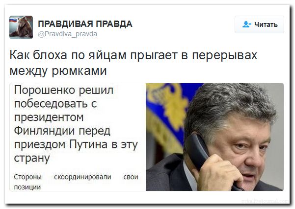 "Мыздобулы" в картинках. Смешных и не очень... 02-07-2016 "Мыздобулы" в картинках. Смешных и не очень... 02-07-2016