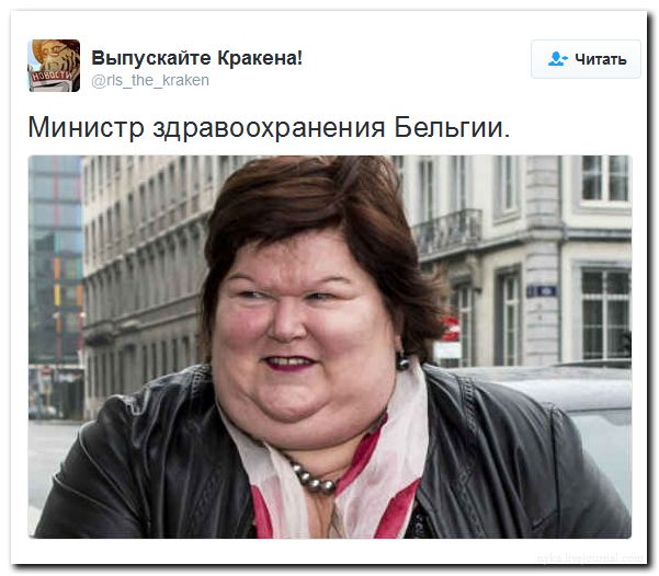 "Мыздобулы" в картинках. Смешных и не очень... 02-07-2016 "Мыздобулы" в картинках. Смешных и не очень... 02-07-2016