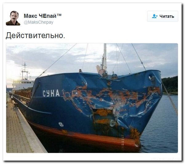 "Мыздобулы" в картинках. Смешных и не очень... 02-07-2016 "Мыздобулы" в картинках. Смешных и не очень... 02-07-2016