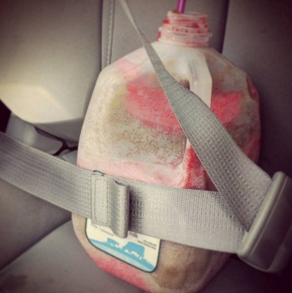 Кто во что горазд: в США люди набирали любимый напиток в унитаз, лишь бы унести домой Кто во что горазд: в США люди набирали любимый напиток в унитаз, лишь бы унести домой