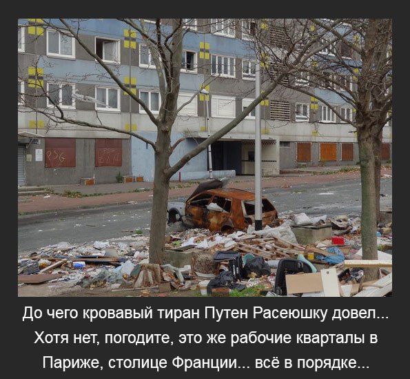 "Мыздобулы" в картинках. Смешных и не очень... 04-07-2016