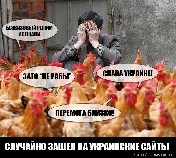 "Мыздобулы" в картинках. Смешных и не очень... 04-07-2016