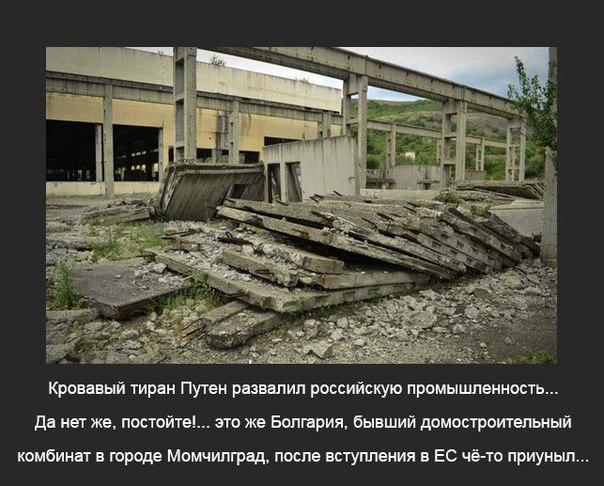 "Мыздобулы" в картинках. Смешных и не очень... 04-07-2016