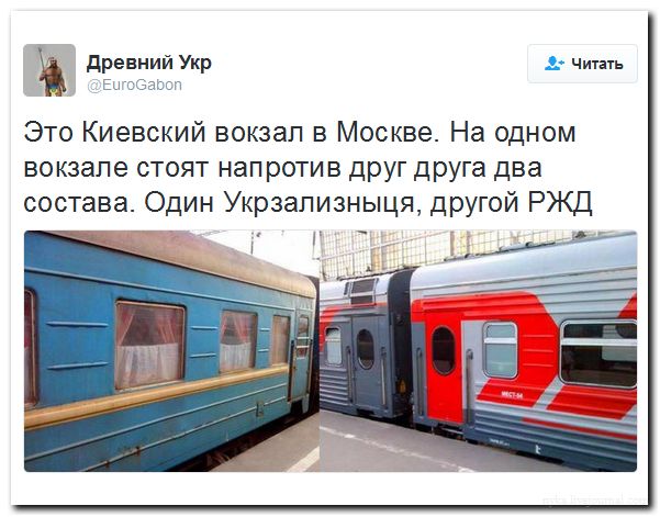 "Мыздобулы" в картинках. Смешных и не очень... 04-07-2016