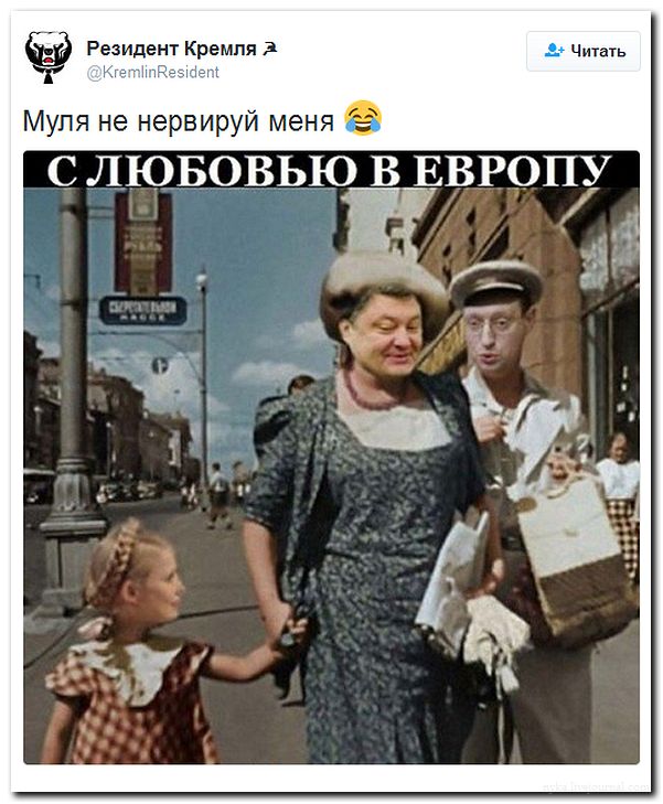 "Мыздобулы" в картинках. Смешных и не очень... 04-07-2016