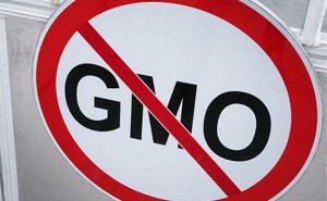 Президент Владимир Путин подписал закон, запрещающий производство в России ГМО-продукции