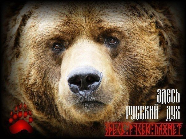 Размышления о России