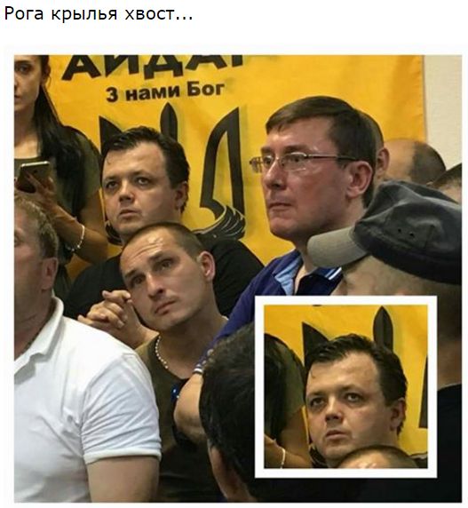 "Мыздобулы" в картинках. Смешных и не очень... 06-07-2016