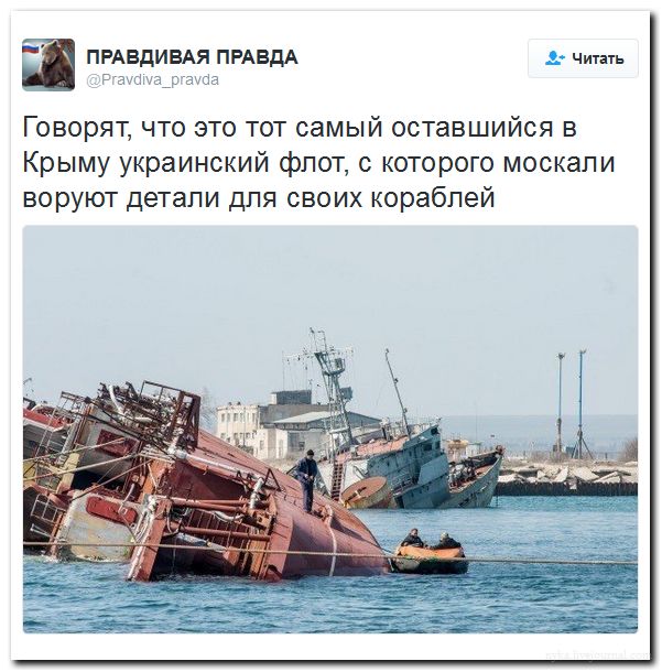 "Мыздобулы" в картинках. Смешных и не очень... 06-07-2016 "Мыздобулы" в картинках. Смешных и не очень... 06-07-2016