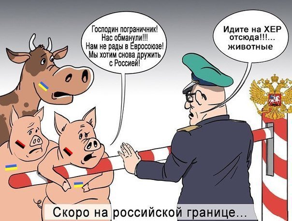 "Мыздобулы" в картинках. Смешных и не очень... 08-07-2016