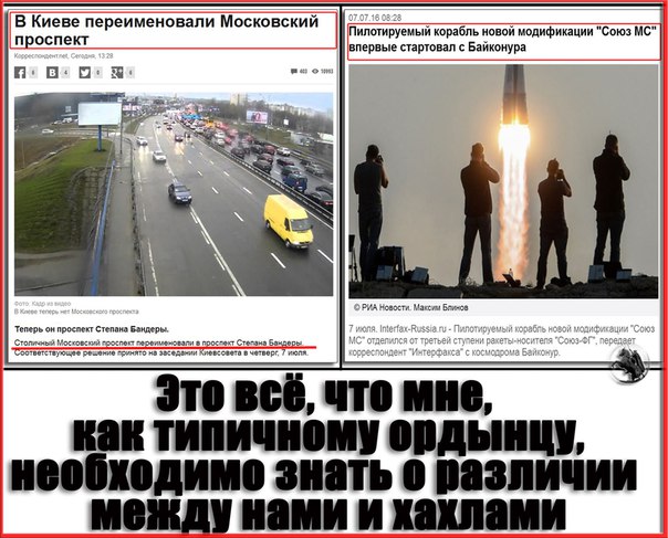 "Мыздобулы" в картинках. Смешных и не очень... 08-07-2016