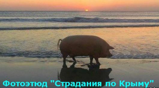 "Мыздобулы" в картинках. Смешных и не очень... 08-07-2016
