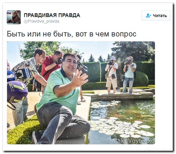 "Мыздобулы" в картинках. Смешных и не очень... 08-07-2016