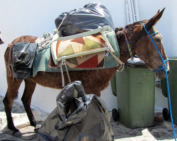 Про людей и ослов. Непатриотические размышления Про людей и ослов. Непатриотические размышления