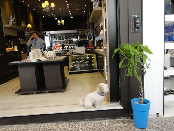 Про людей и ослов. Непатриотические размышления Про людей и ослов. Непатриотические размышления