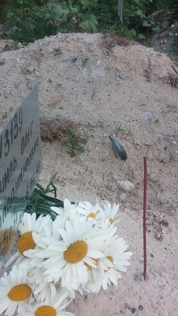 Могилизация шагает по стране... и по свалкам: Видного “правосека” похоронили на свалке Могилизация шагает по стране... и по свалкам: Видного “правосека” похоронили на свалке