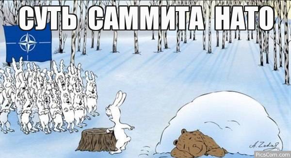 "Мыздобулы" в картинках. Смешных и не очень... 11-07-2016 "Мыздобулы" в картинках. Смешных и не очень... 11-07-2016