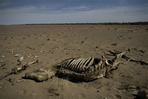 В Латвии бьют тревогу вымираем! В Латвии бьют тревогу вымираем!