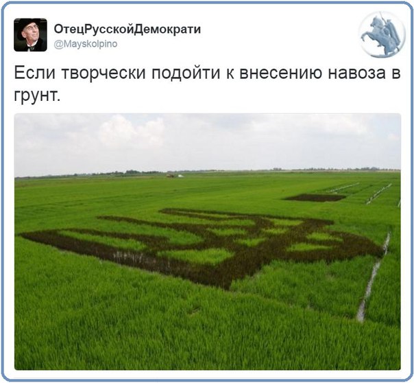 "Мыздобулы" в картинках. Смешных и не очень... 16-07-2016