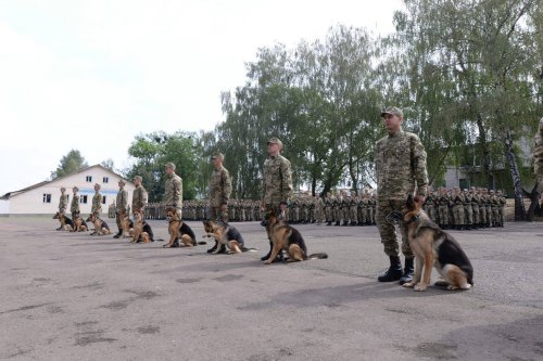На Львовщине немецкие собаки принесли присягу на верность Украине – улетное видео