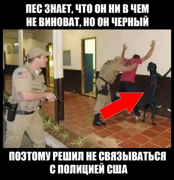 "Мыздобулы" в картинках. Смешных и не очень... 18-07-2016 "Мыздобулы" в картинках. Смешных и не очень... 18-07-2016