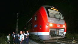 В доме афганца, напавшего на людей в поезде в Германии, найден флаг ИГ