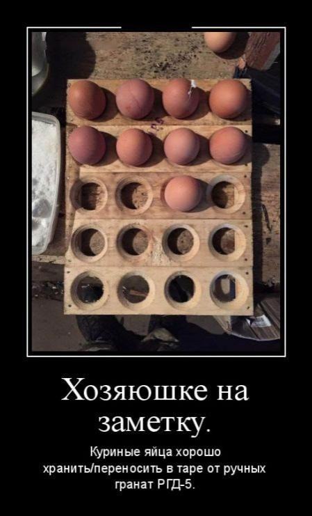 "Мыздобулы" в картинках. Смешных и не очень... 19-07-2016 "Мыздобулы" в картинках. Смешных и не очень... 19-07-2016