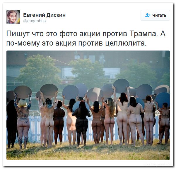 "Мыздобулы" в картинках. Смешных и не очень... 19-07-2016 "Мыздобулы" в картинках. Смешных и не очень... 19-07-2016