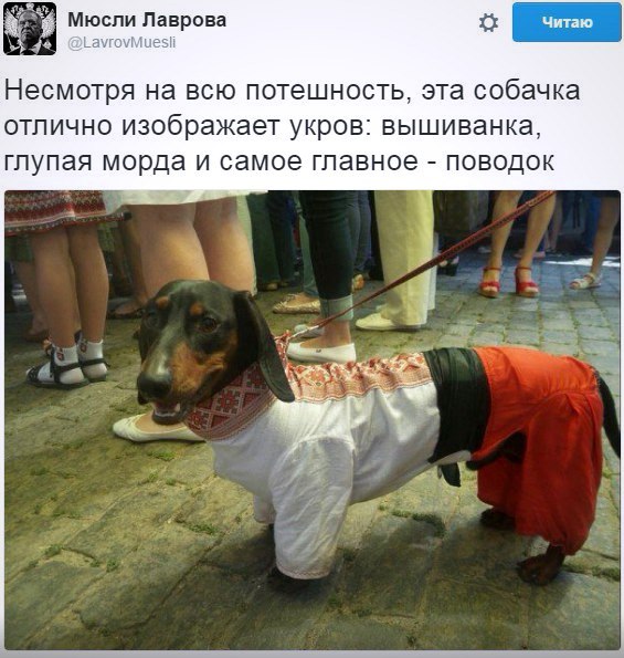 "Мыздобулы" в картинках. Смешных и не очень... 19-07-2016 "Мыздобулы" в картинках. Смешных и не очень... 19-07-2016