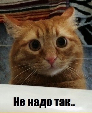 И ещё раз об Олимпиаде и не только… И ещё раз об Олимпиаде и не только…