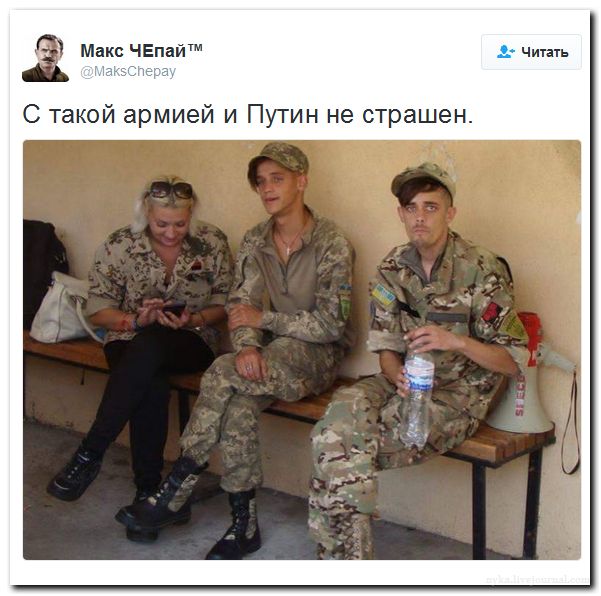 "Мыздобулы" в картинках. Смешных и не очень... 24-07-2016