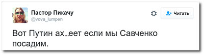 Надежда Савченко учит украинцев извиняться. Павел Шипилин