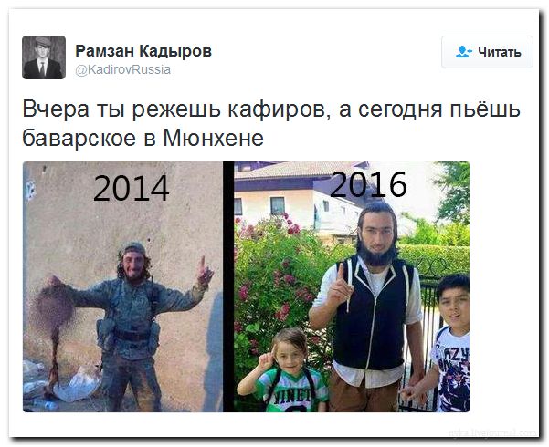 "Мыздобулы" в картинках. Смешных и не очень... 25-07-2016