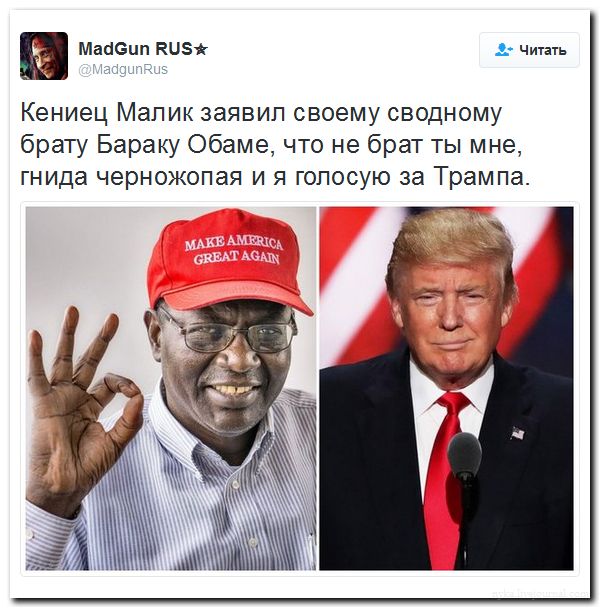 "Мыздобулы" в картинках. Смешных и не очень... 25-07-2016