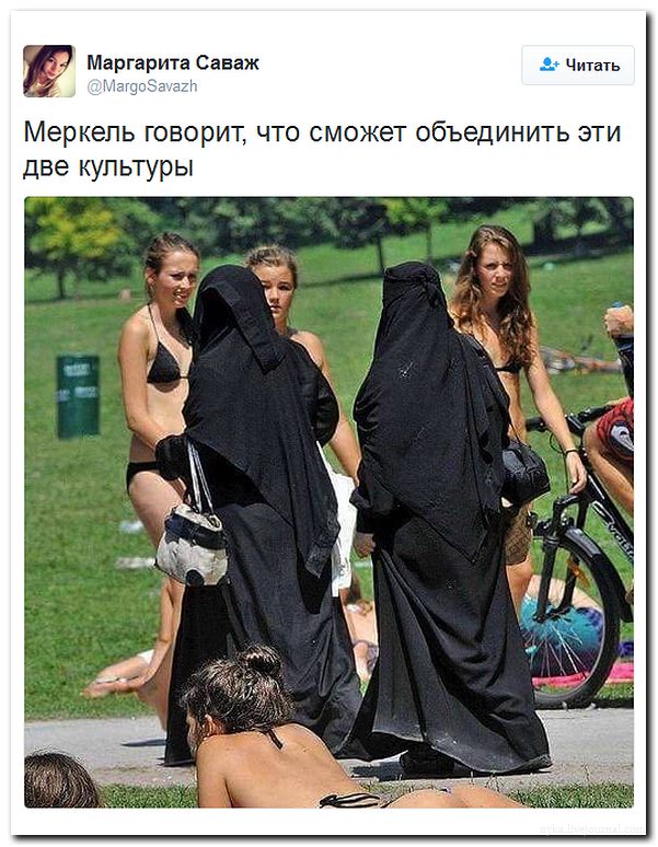 "Мыздобулы" в картинках. Смешных и не очень... 25-07-2016