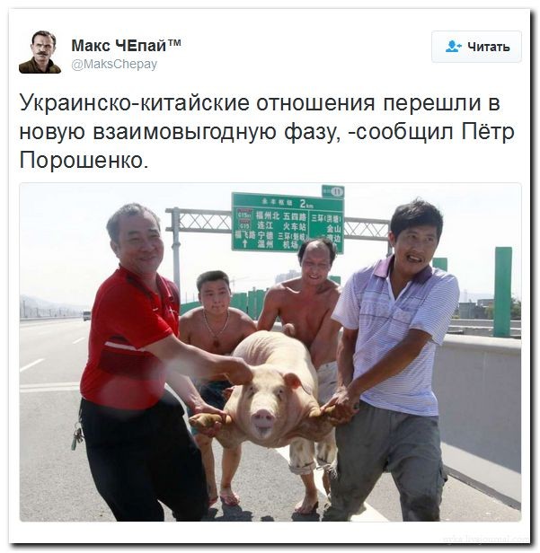 Подборка 45. Политика в картинках