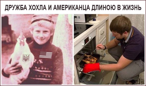 "Мыздобулы" в картинках. Смешных и не очень... 27-07-2016