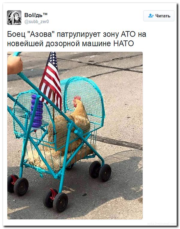 "Мыздобулы" в картинках. Смешных и не очень... 31-07-2016